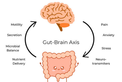 Stomach-Aches, Anxiety, and the Developing Brain