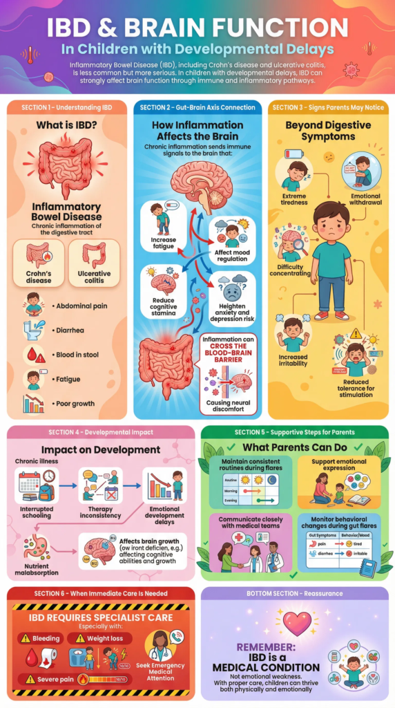 Blog12 Inflammatory Bowel Disease (IBD) and Brain Function in Children
